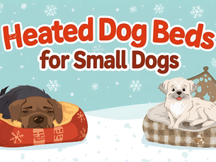 heated dog beds for small dogs