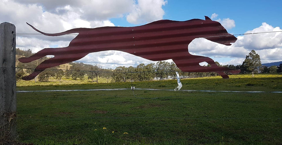 Thumbnail: Greyhound Running