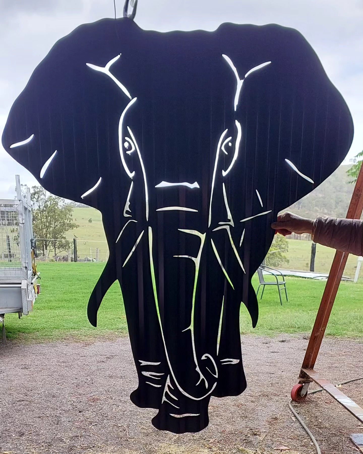 Elephant