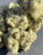 Ice Cream Cake Gelato