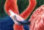 Flamingle with Me 14 x 20