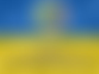 Рій « Незламні»