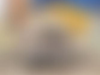День українського добровольця