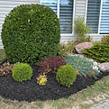 IMG_2384_edited.jpg