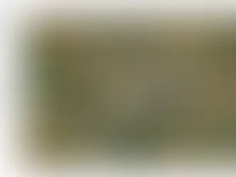 Estados Unidos acusam China de operar instalações com potencial uso militar no Brasil