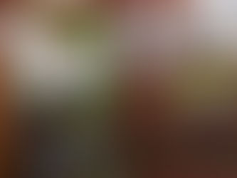 Polícia Ambiental apreende aves silvestres mantidas ilegalmente em Pelotas