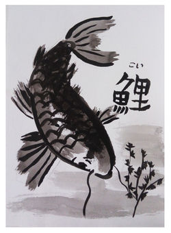 Koi