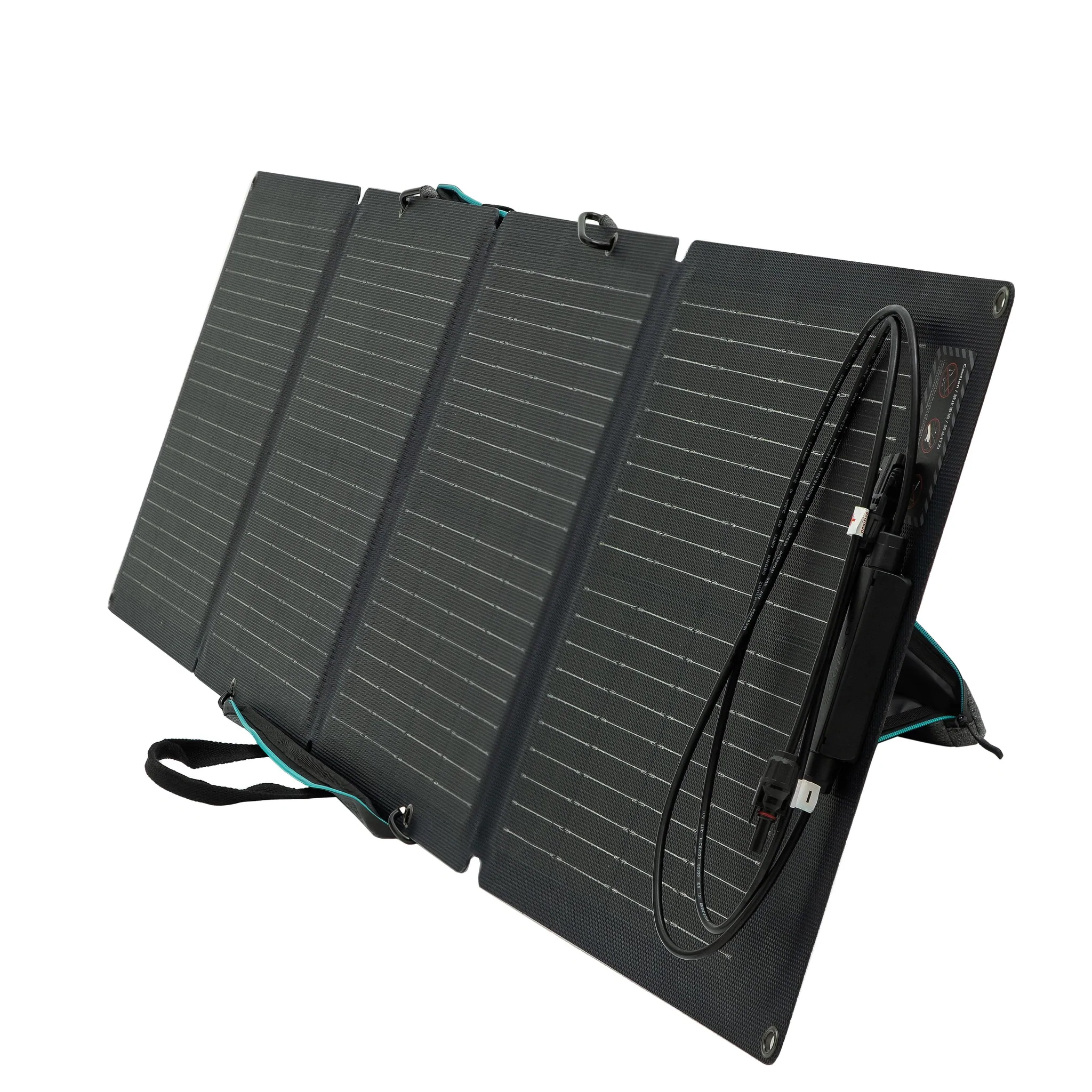 EcoFlow Pannello Solare 110 Watt Generatore solare portatile