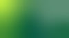 WillMyers™_Frosted Gradient_Green.jpg