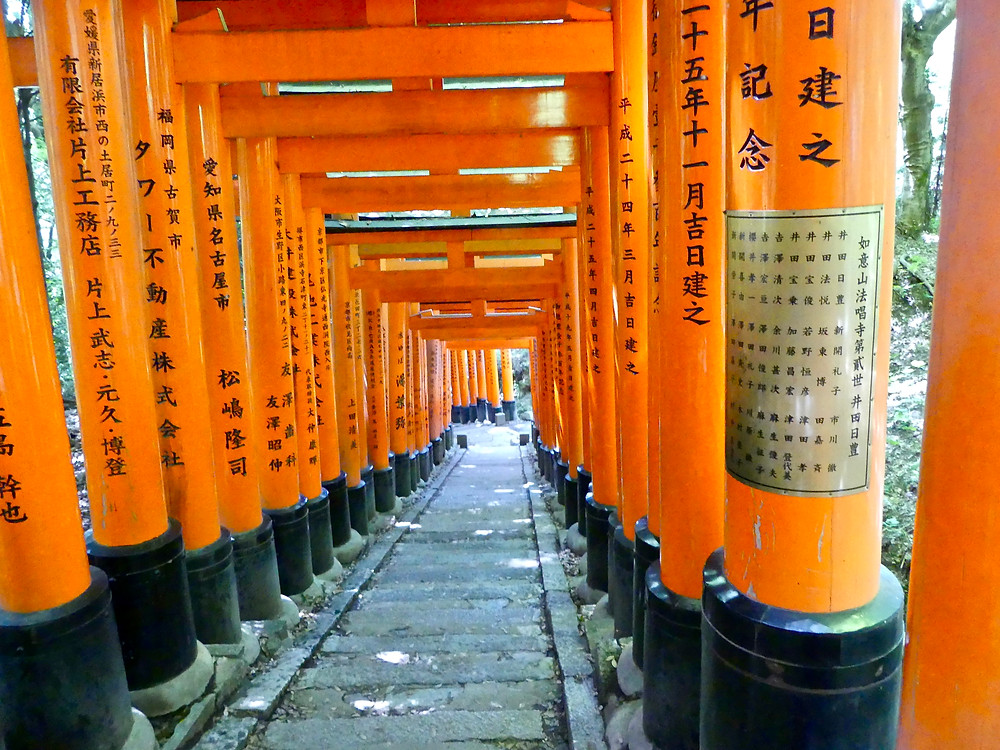 View coming down through gates