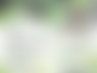 15 October 2022 – Agrobiotechnology Talk Series (24) For whom the plant genome has been sequenced
