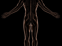 Styrk nervesystemet for bedre balanse og velvære