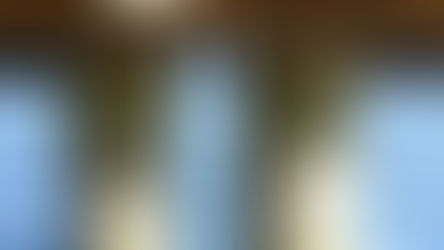 Differentiation: Why You Need to Be "You" to Be "Us"