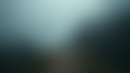 Clarity Over Coercion: Why We Don't "Save" Marriages