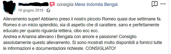 recensione 2.png