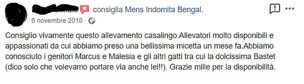 recensione 4.png