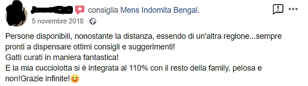 recensione 3.png