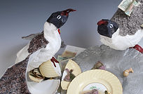DSC_0214_WEB.jpg