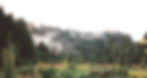 15972427651295509110761631064300_edited_edited.jpg