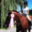 Nicole Butchko and Just Dandy were fabulous yesterday with a 5th place finish in the classic!