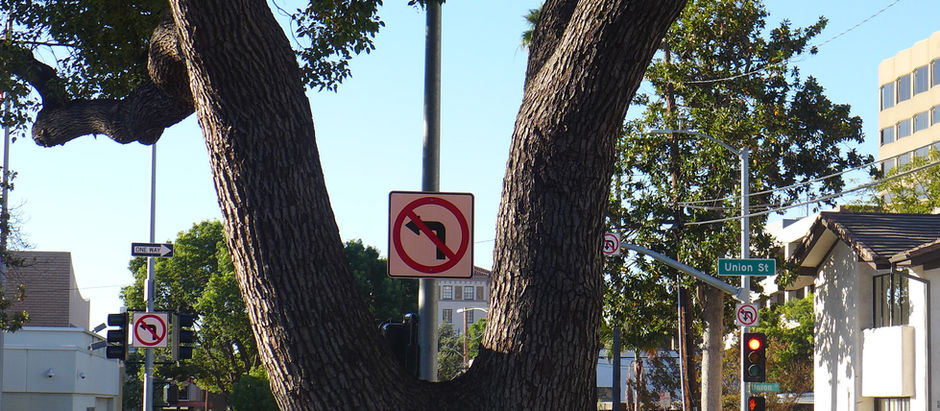 Street Sign Photo