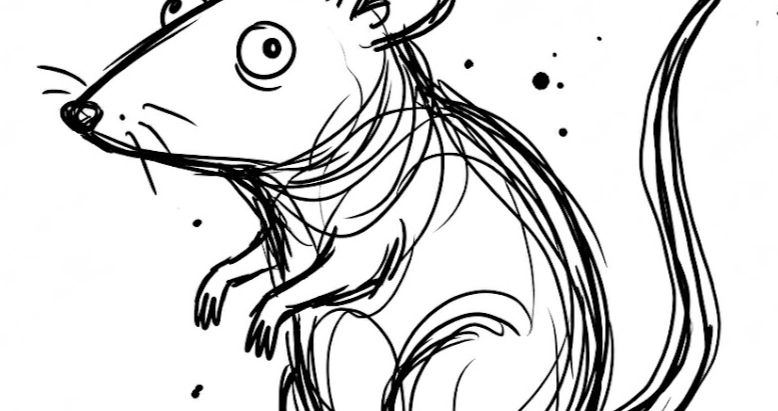 rat