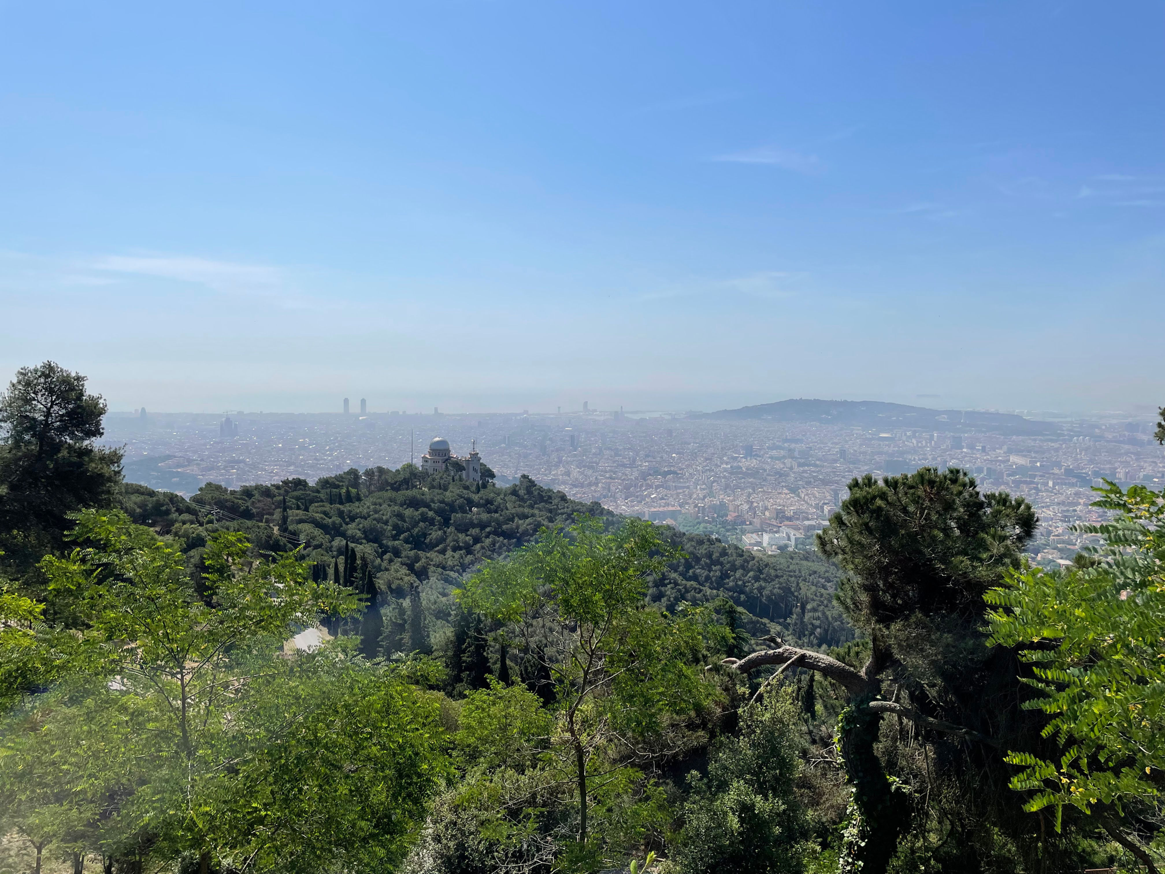 View from the Hilltop