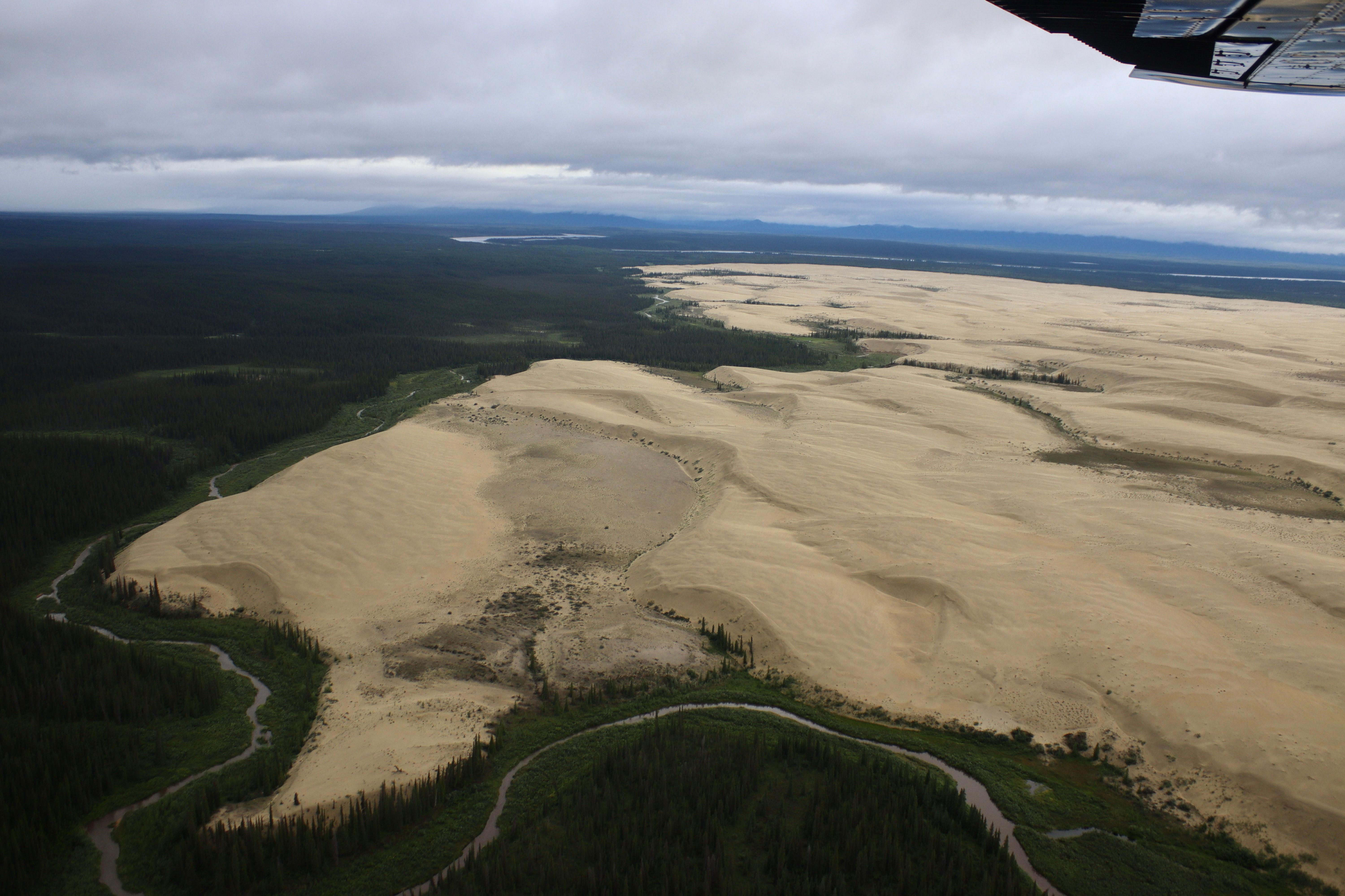 Great Kobuk Sand Dunes
