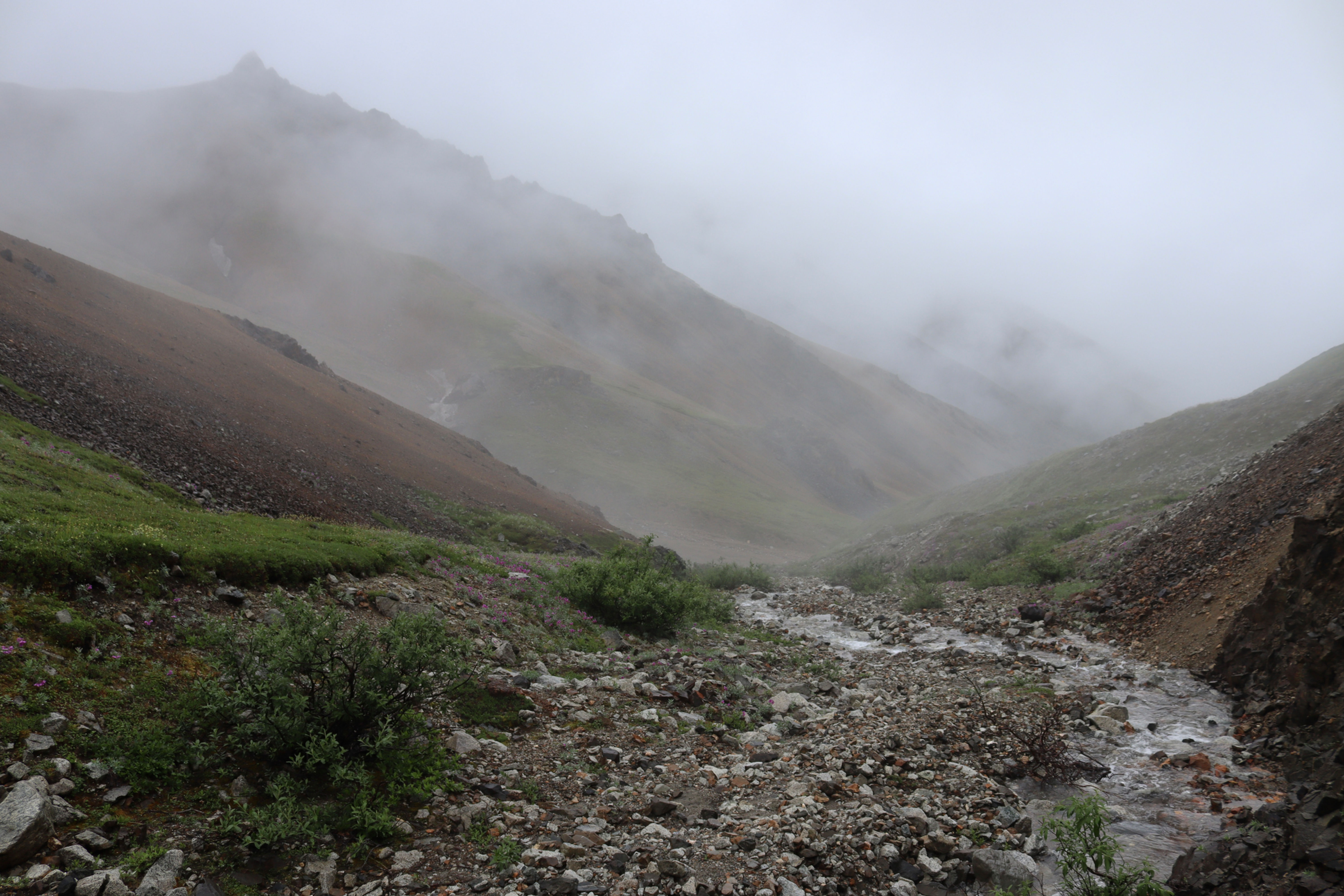 Heavy Fog on the Trail