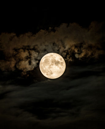 850_1320-Edit.jpg