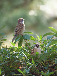 P1087423.jpg