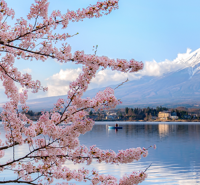 【極美品】獣医救急治療マニュアル ICUBOOK 極美品】獣医救急治療マニュアル ICUBOOK ICU book 獣医緊急治療マニュアル