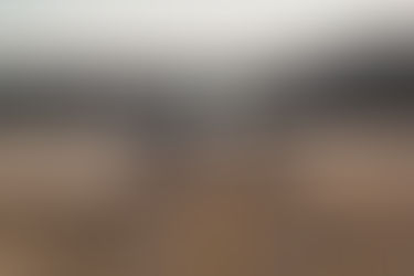 항공특송 지연사례!!