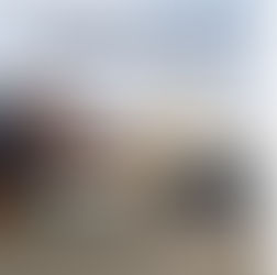 포워딩 비용은 왜 업체마다 다를까? 해상운송 견적 차이의 이유