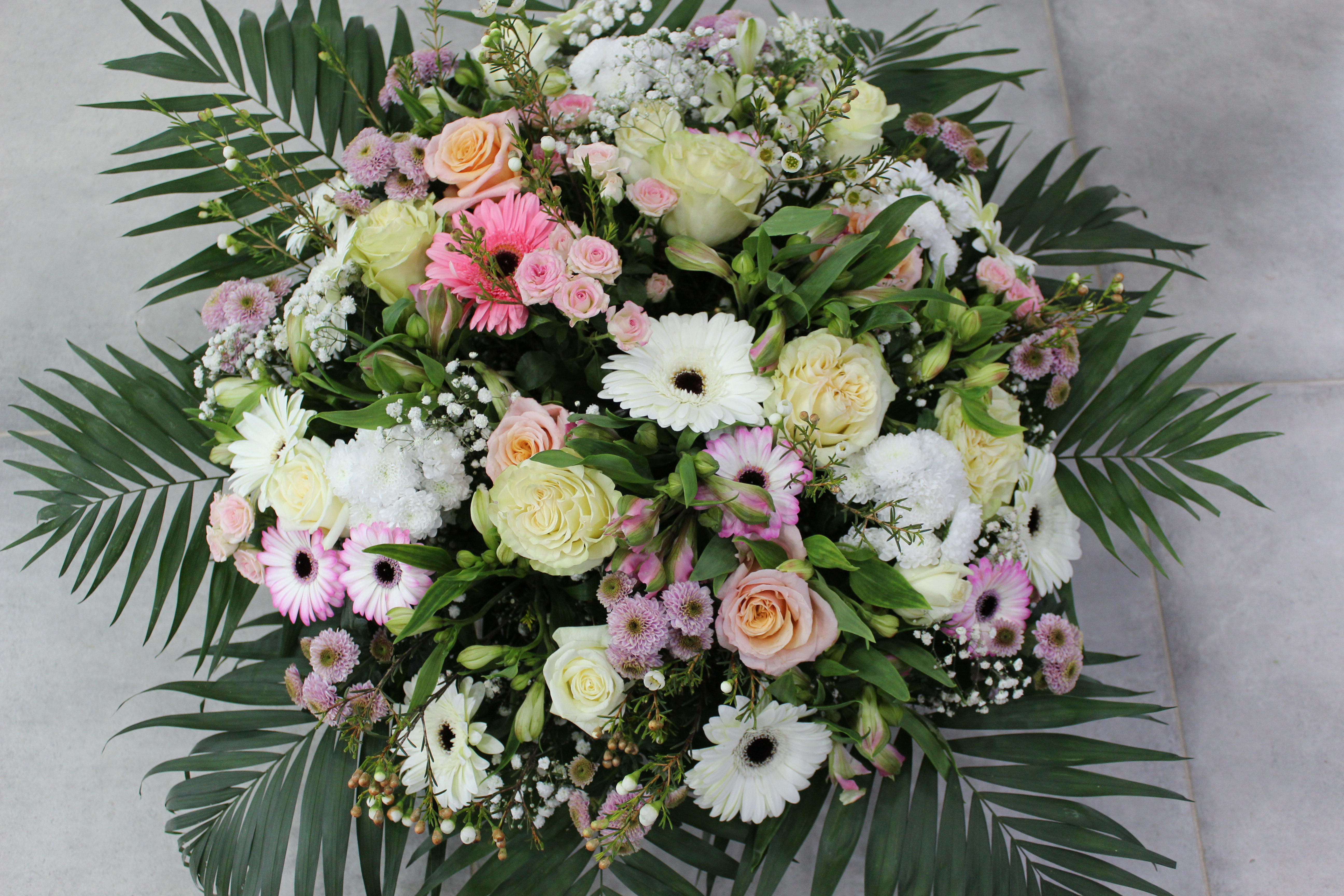 Coupe ronde teintes pastelles