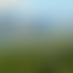 The closer you are to the cross...