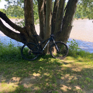 The best in the business