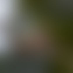 Listening to the white noise