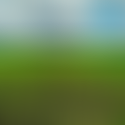 Sowing seeds of kindness