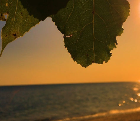 I’ll always be for you 