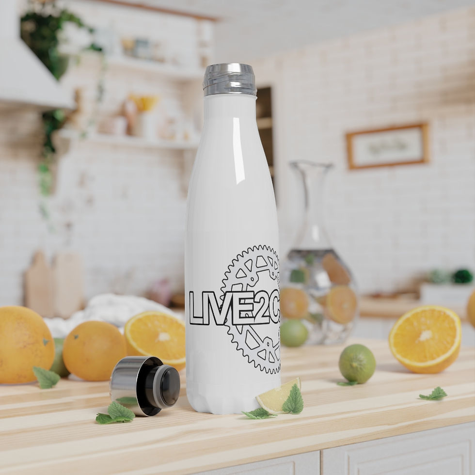 Thumbnail: Stainless Steel Water Bottle, 17oz