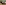 IMG_4027.jpeg