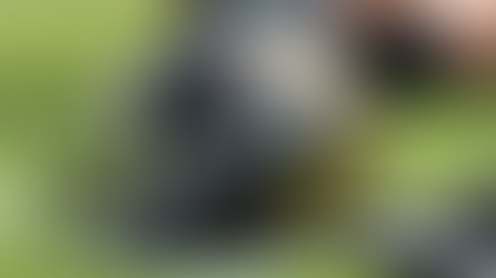 State of the Franchise - Jacksonville Jaguars