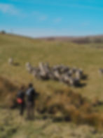 GLASGOW: Wildish Wander up Ben A'an