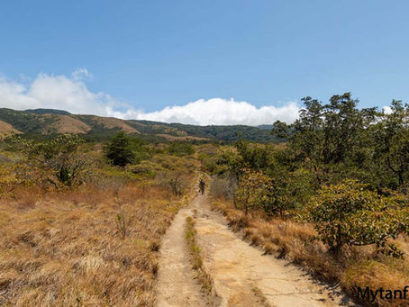 How Much Will El Niño Affect Costa Rica?