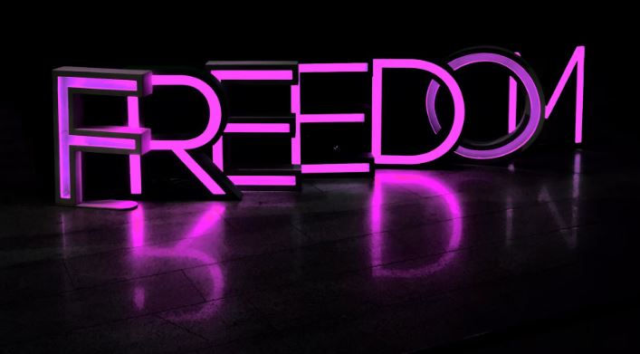 Neon letters spelling 'FREEDOM'