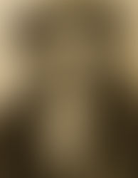 Los muertos no caminan