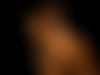 Les dieron momia por liebre