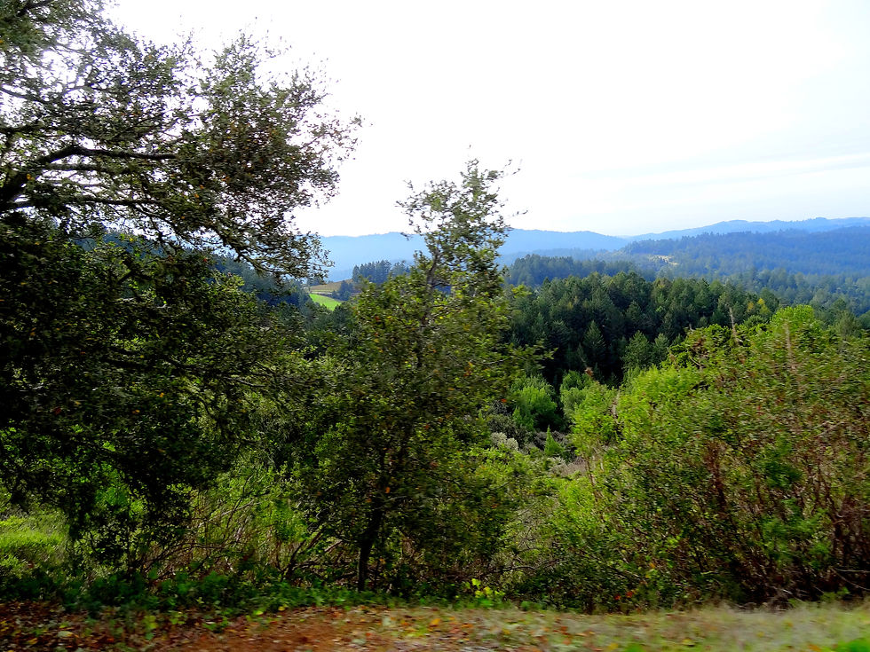 AISSky Land-26.JPG