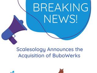 Scalesology Announces the Acquisition of BuboWerks